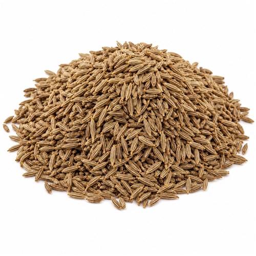 CUMIN SEED (WHOLE) 1KG (8) ILUKA